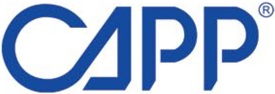 Capp ApS Capp ApS